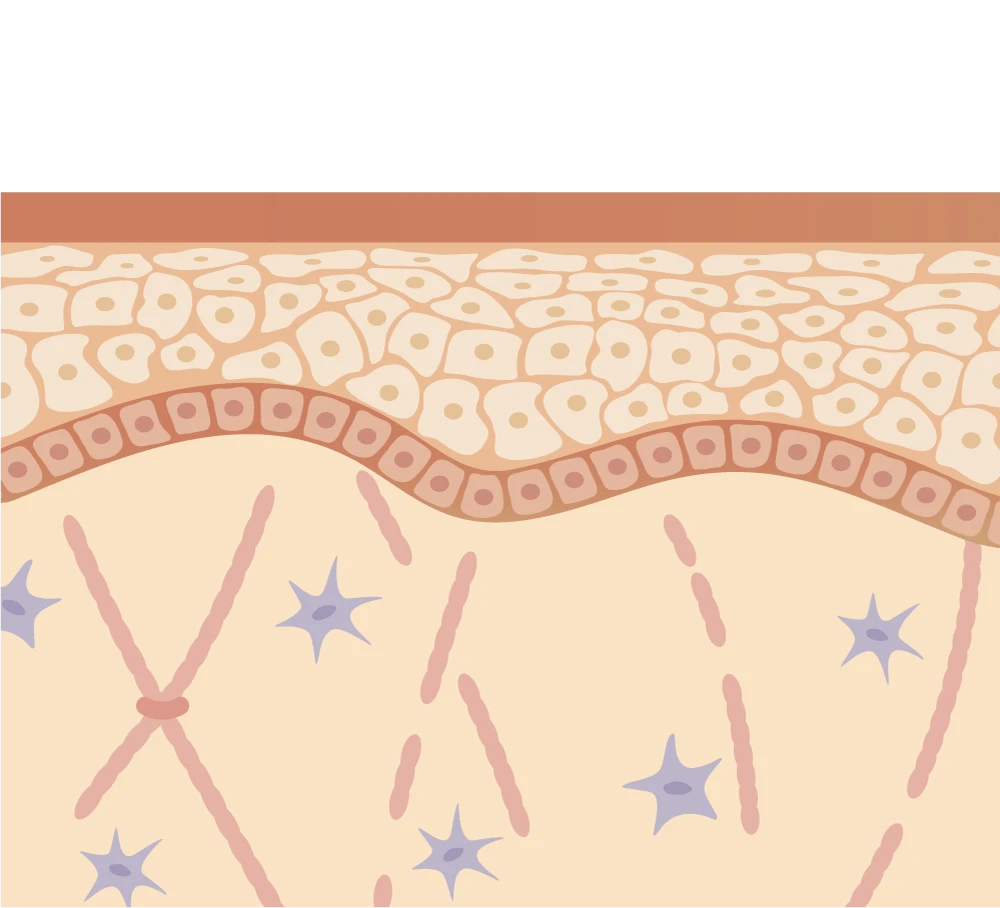 Dual Wave and Treatmnet Mechanisms CW part 1