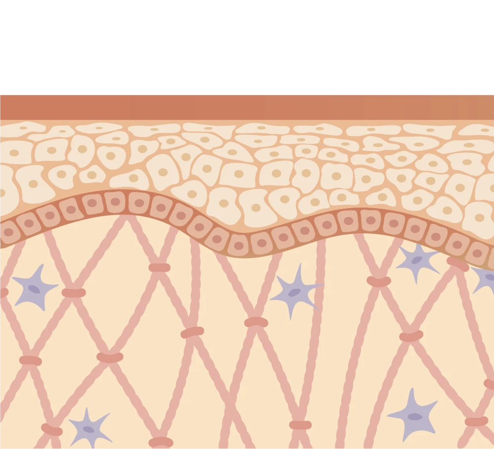 Dual Wave and Treatmnet Mechanisms CW part 3