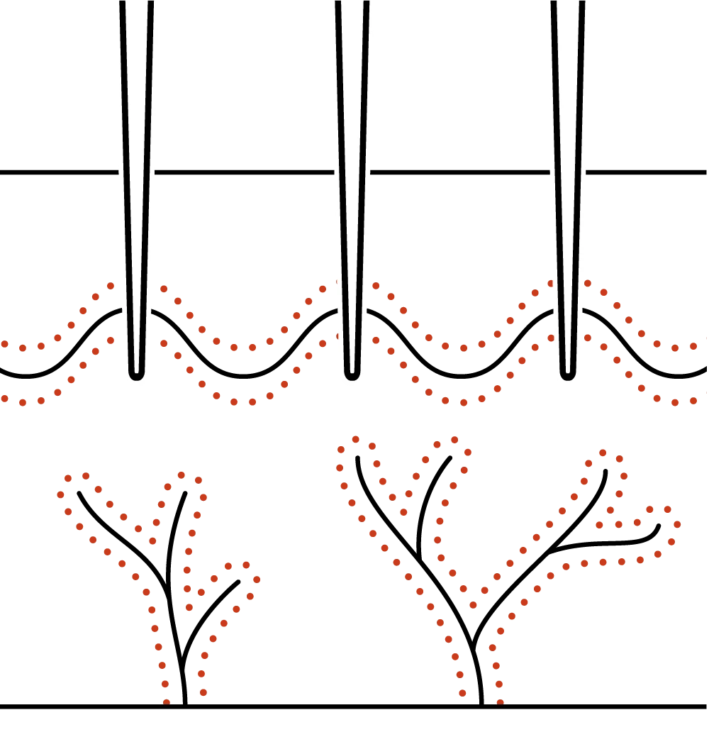 Selective Coagulation with PW
