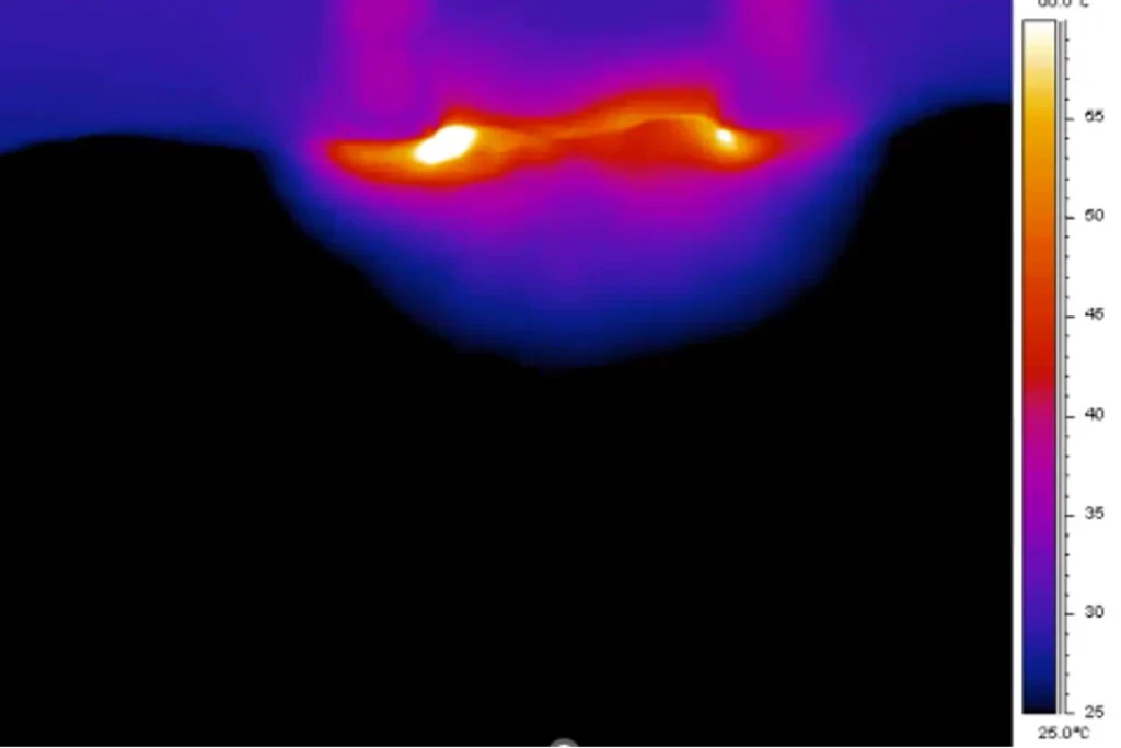 エンディメッド PROMAX