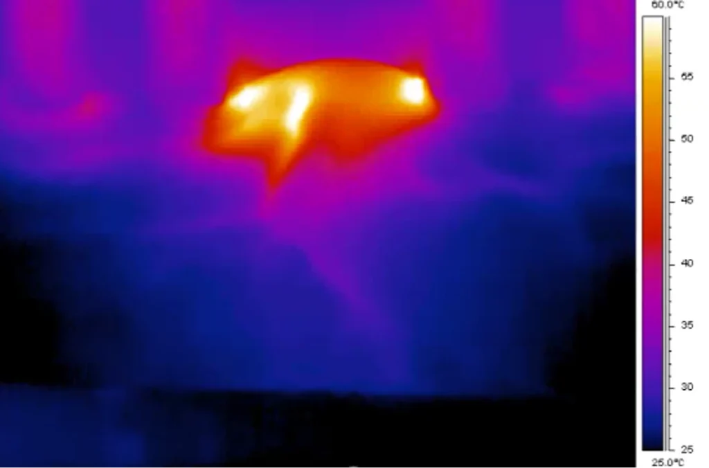 エンディメッド PROMAX