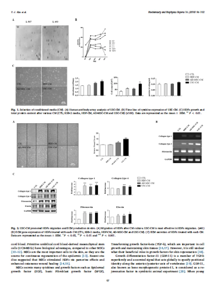 エクソヒーラーSBプラス（水光注射）